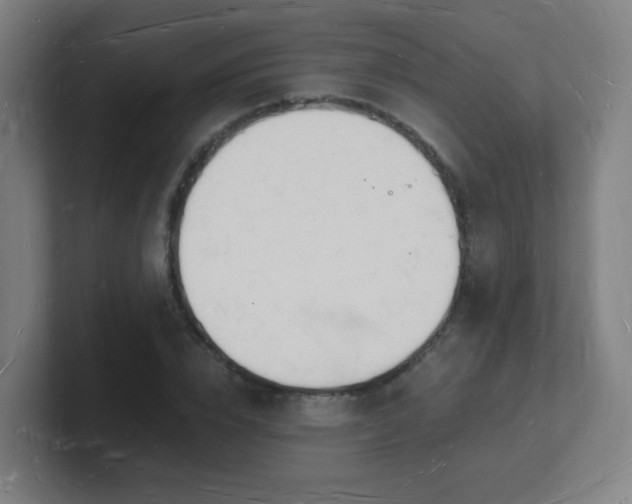 X0000101670832200807171334
