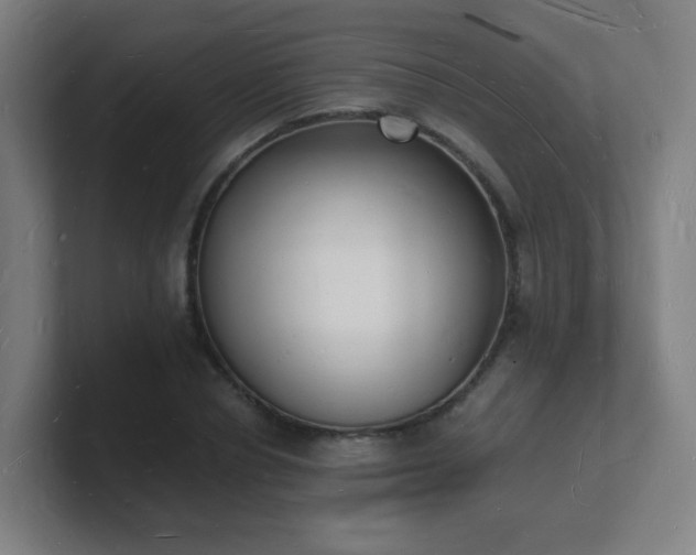 X0000101670834200807171334