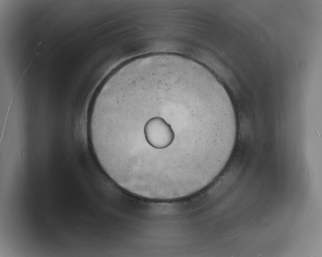 X0000101670836200807171334