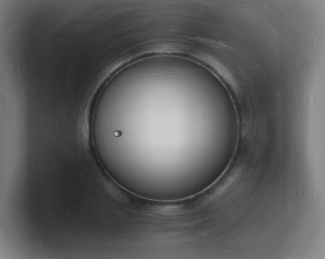 X0000101670837200807171334