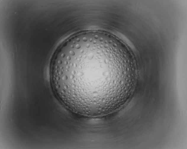 X0000101670839200807171334