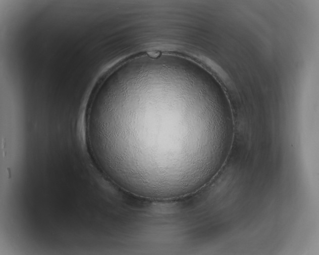 X0000101670840200807171334