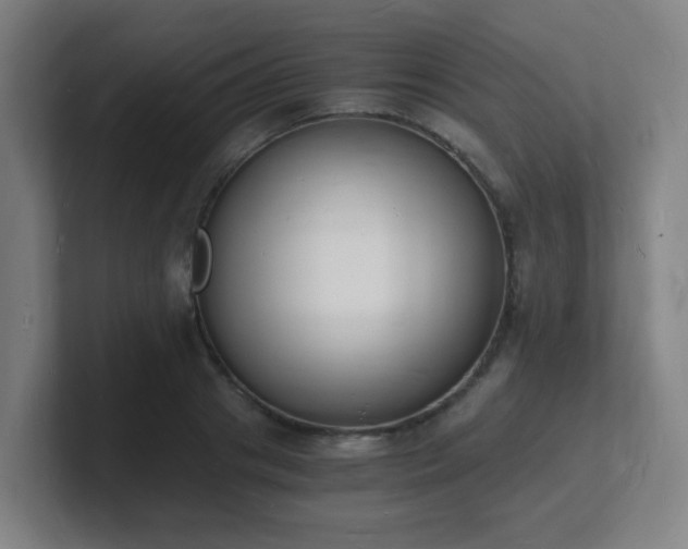 X0000101670841200807171334