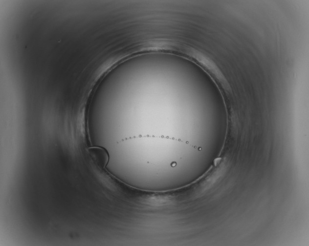 X0000101670842200807171334