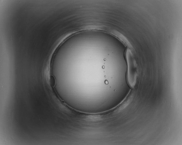 X0000101670844200807171334