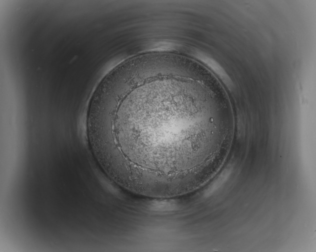 X0000101670850200807171334