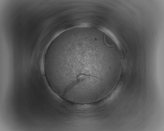 X0000101670851200807171334