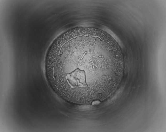 X0000101670853200807171334