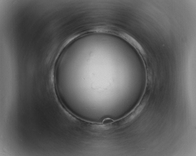 X0000101670855200807171334