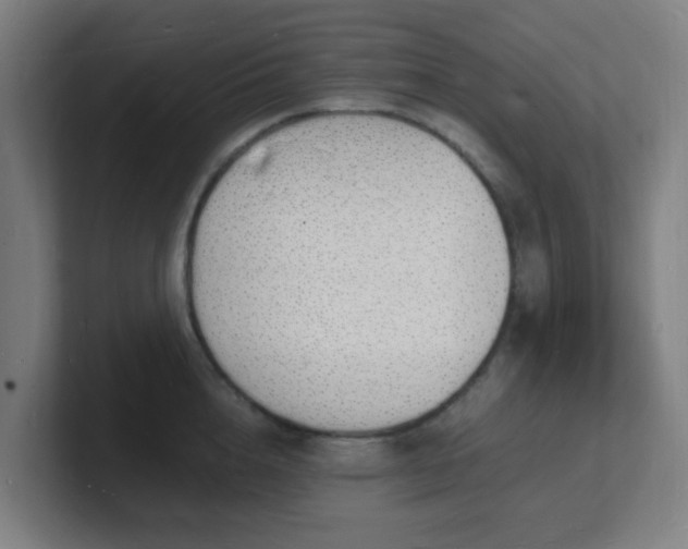 X0000101670856200807171334