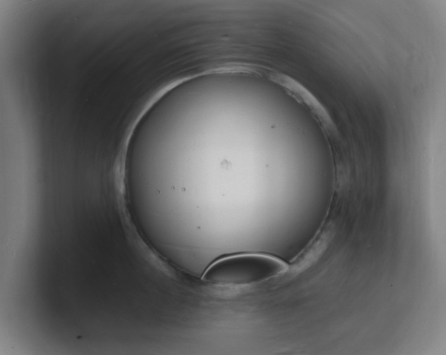 X0000101670860200807171334