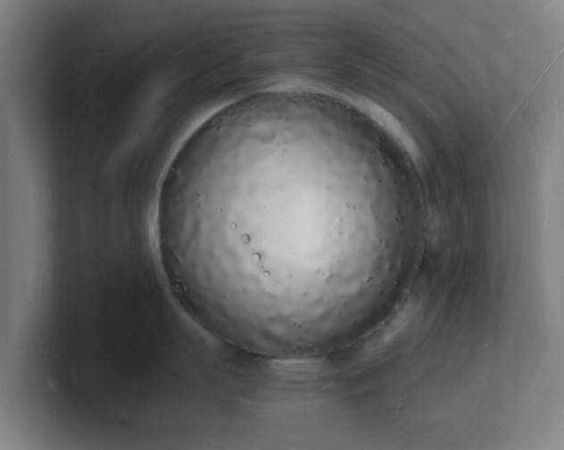 X0000101670863200807171334