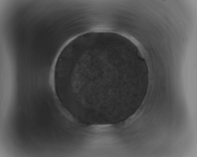 X0000101670864200807171334