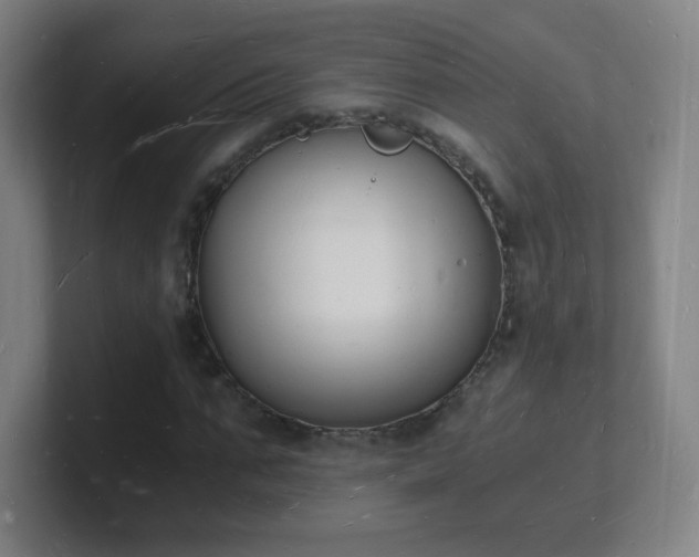 X0000101670871200807171334