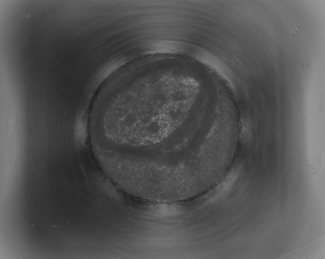 X0000101670874200807171334