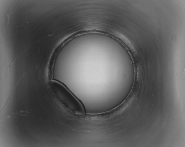 X0000101670876200807171334