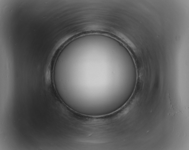 X0000101670877200807171334