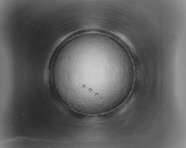 X0000101670879200807171334