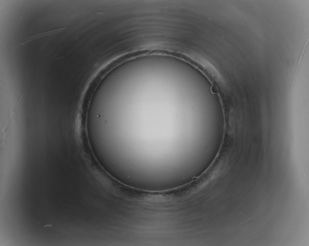 X0000101670880200807171334