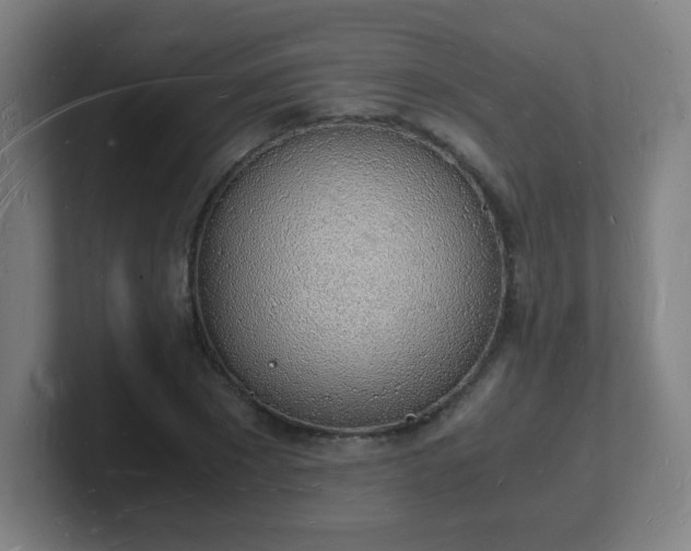 X0000101670881200807171334