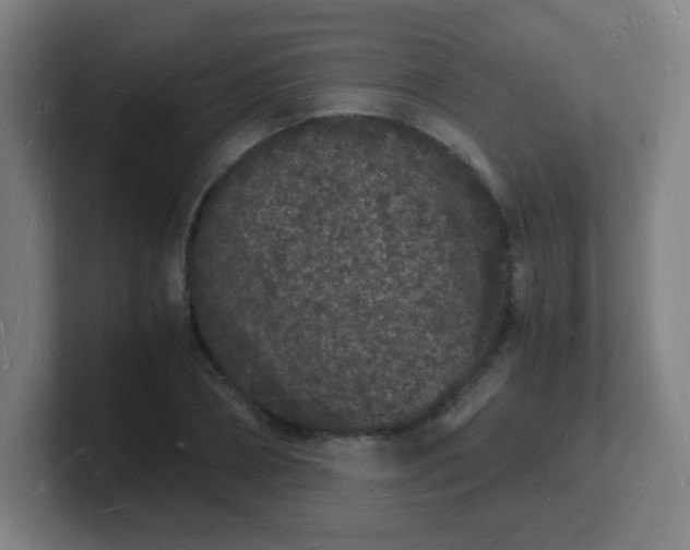 X0000101670882200807171334
