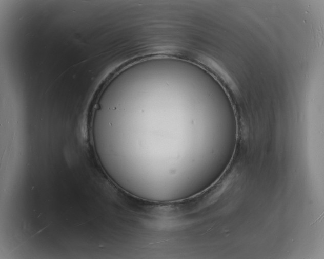 X0000101670883200807171334