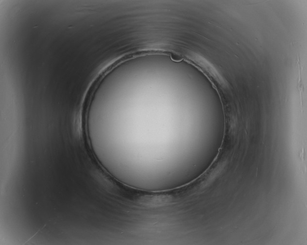 X0000101670884200807171333