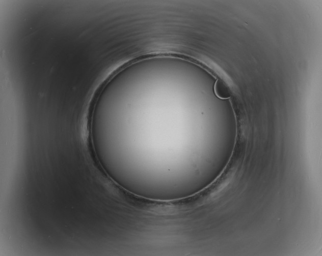 X0000101670885200807171333