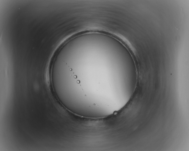 X0000101670887200807171333
