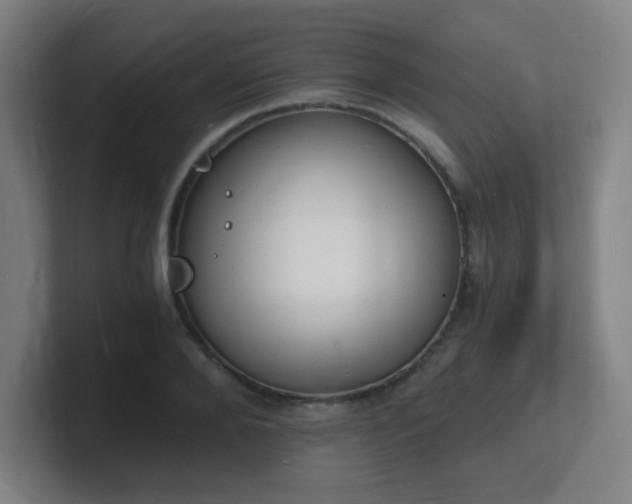 X0000101670888200807171333