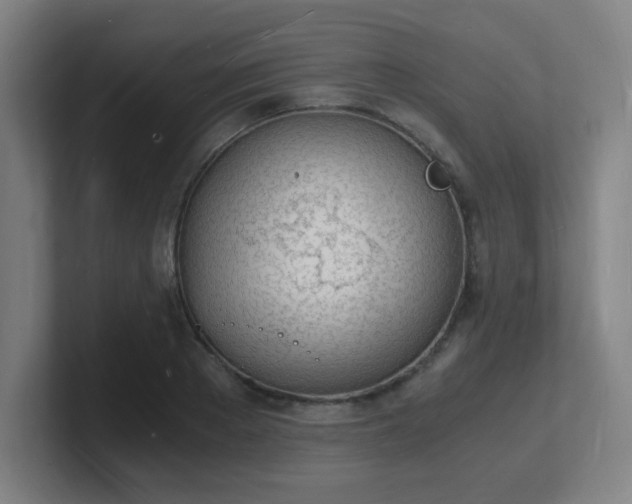 X0000101670889200807171333