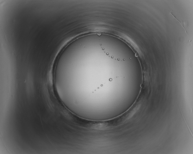X0000101670891200807171333