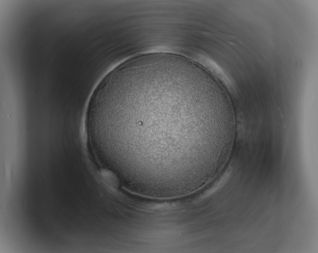 X0000101670892200807171333