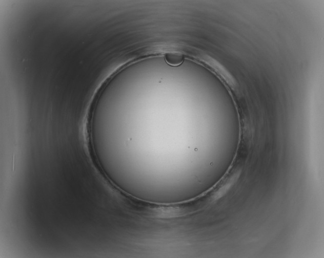 X0000101670893200807171333