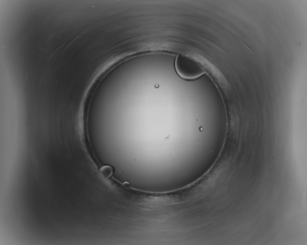 X0000101670894200807171333