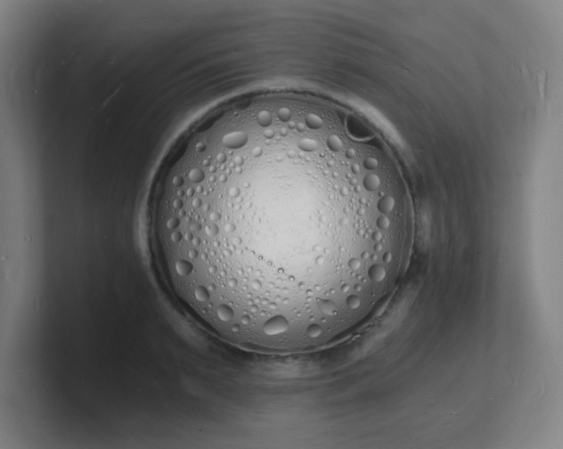X0000101670895200807171333