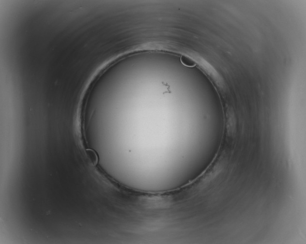 X0000101670896200807171333