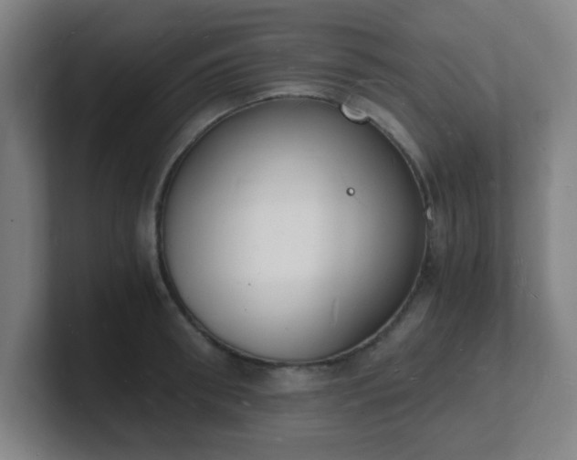 X0000101670898200807171333