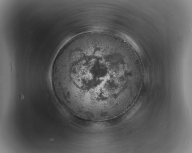 X0000101670899200807171333