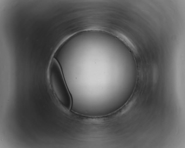 X0000101670900200807171333