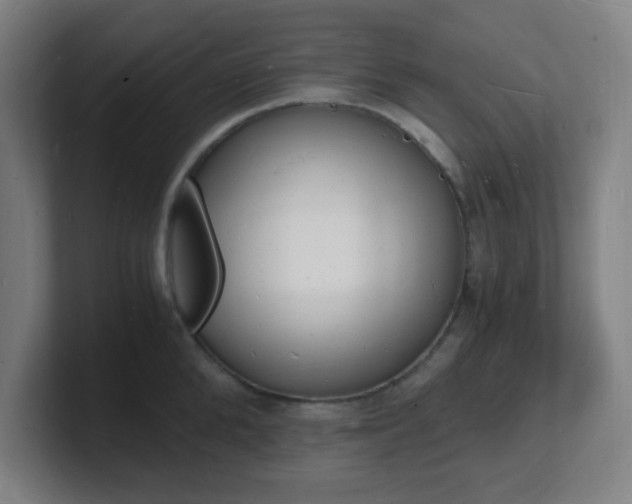 X0000101670904200807171333