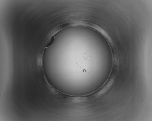X0000101670905200807171333