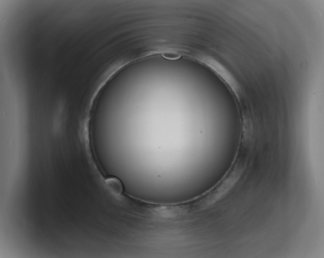 X0000101670906200807171333