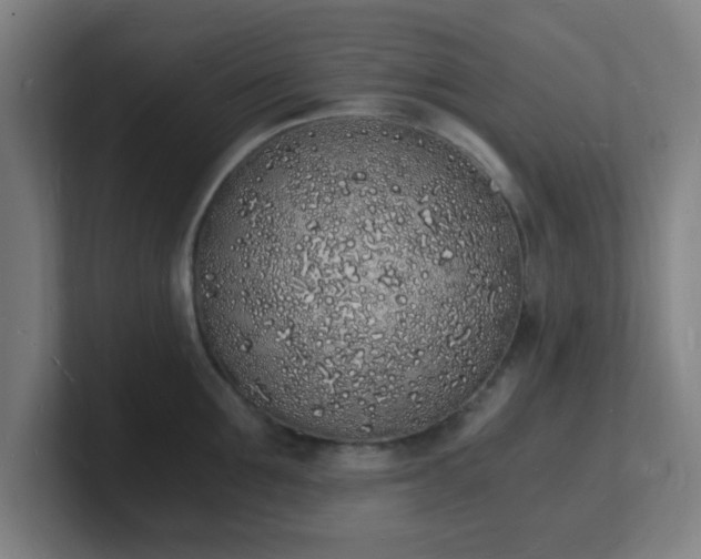 X0000101670907200807171333