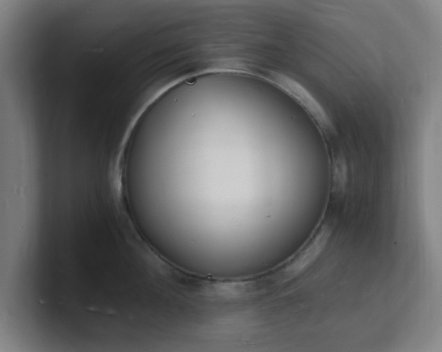 X0000101670908200807171333