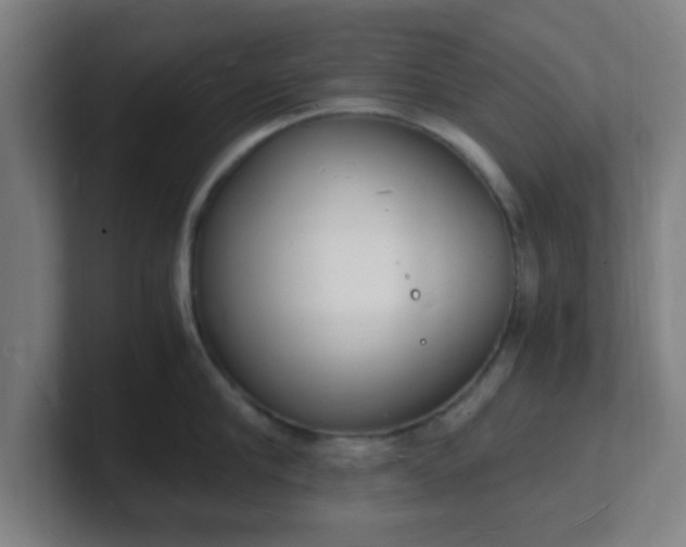 X0000101670910200807171333