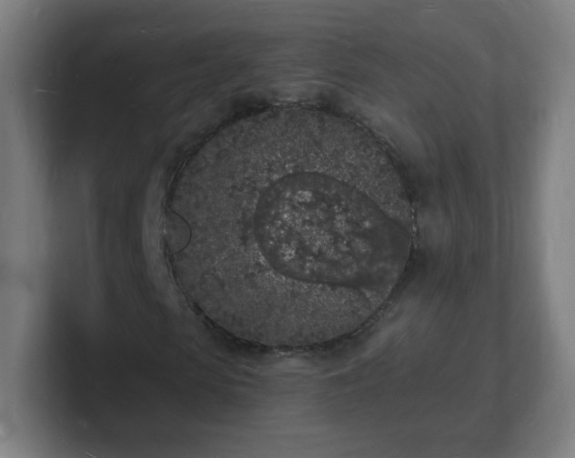 X0000101670913200807171332
