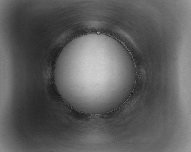 X0000101670918200807171332