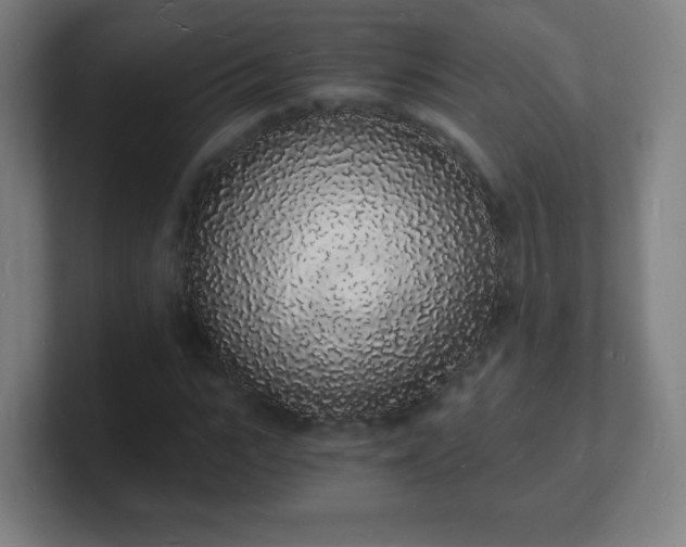 X0000101670919200807171332