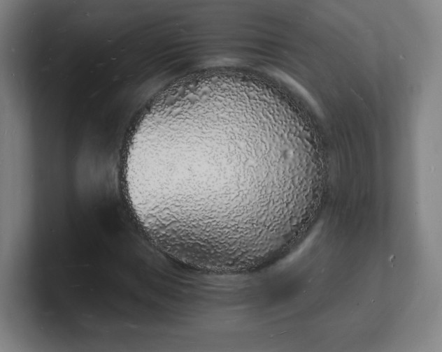 X0000101670921200807171332